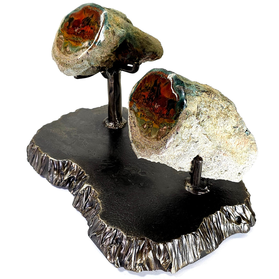 Rainbow Petrified Wood, Rare Natural Sunset Scene, Collector Mineral Specimen, Blue Opal Fossilized Wood Stone - Earth Perfection