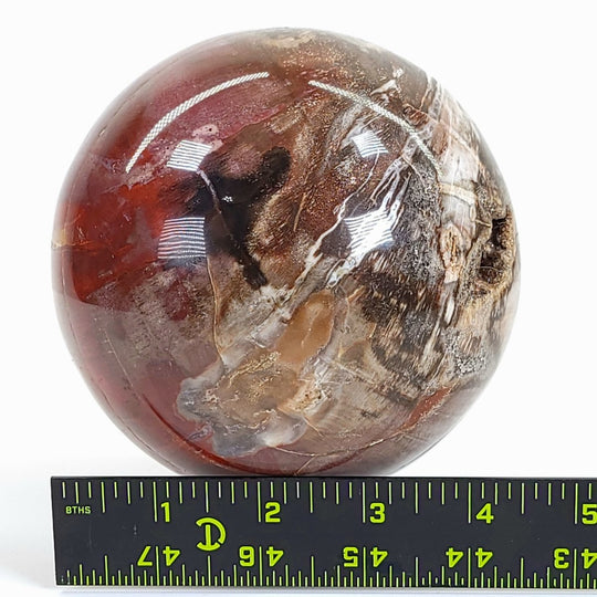 Rainbow Petrified Wood Sphere! Extra Large Fossilized Wood Crystal Ball & Smoky Quartz Geodes! - Earth Perfection