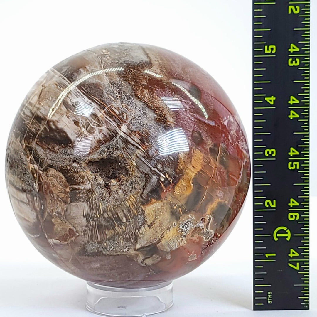 Rainbow Petrified Wood Sphere! Extra Large Fossilized Wood Crystal Ball & Smoky Quartz Geodes! - Earth Perfection