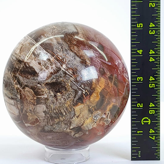 Rainbow Petrified Wood Sphere! Extra Large Fossilized Wood Crystal Ball & Smoky Quartz Geodes! - Earth Perfection