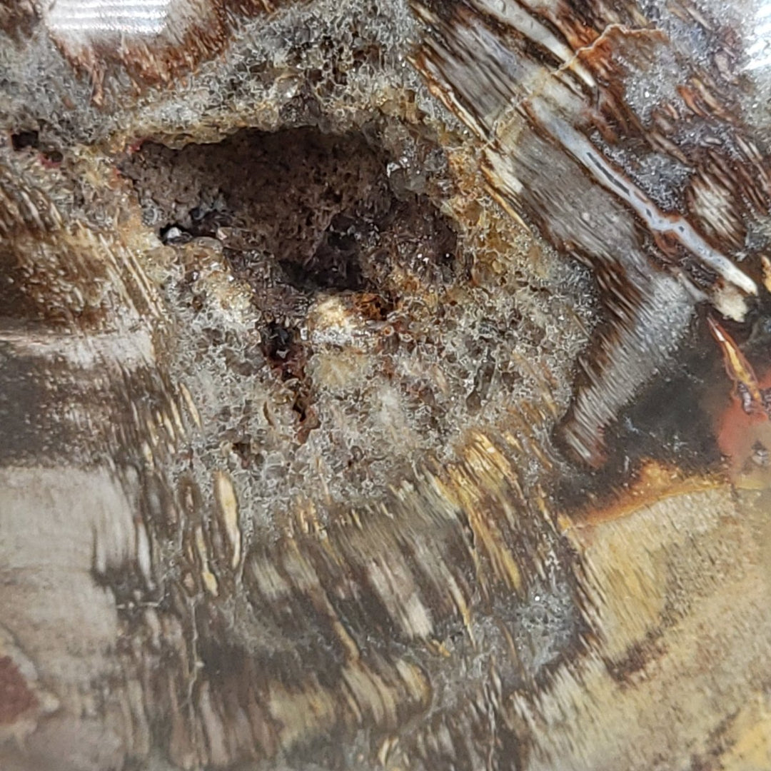 Rainbow Petrified Wood Sphere! Extra Large Fossilized Wood Crystal Ball & Smoky Quartz Geodes! - Earth Perfection