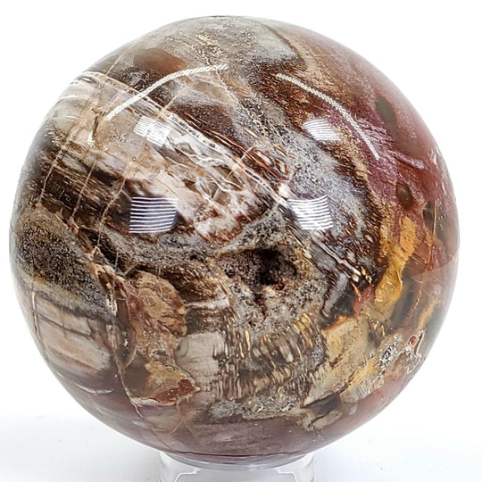 Rainbow Petrified Wood Sphere! Extra Large Fossilized Wood Crystal Ball & Smoky Quartz Geodes! - Earth Perfection