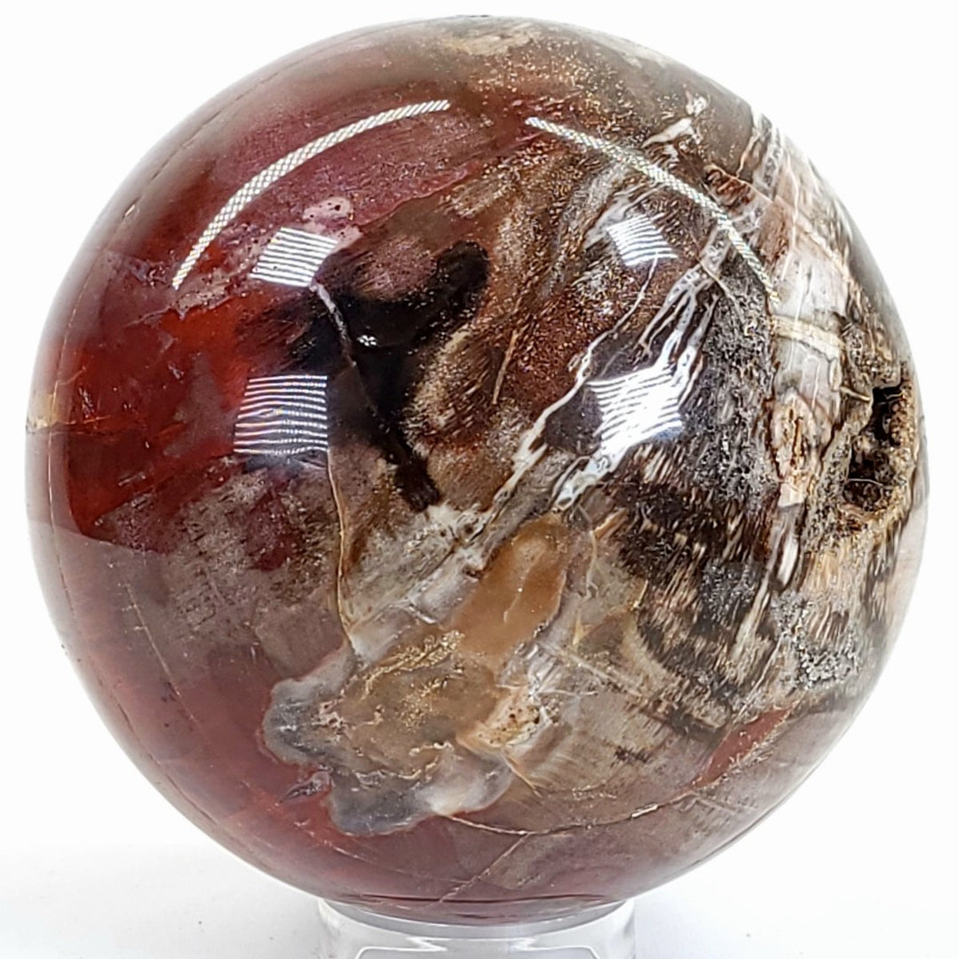 Rainbow Petrified Wood Sphere! Extra Large Fossilized Wood Crystal Ball & Smoky Quartz Geodes! - Earth Perfection