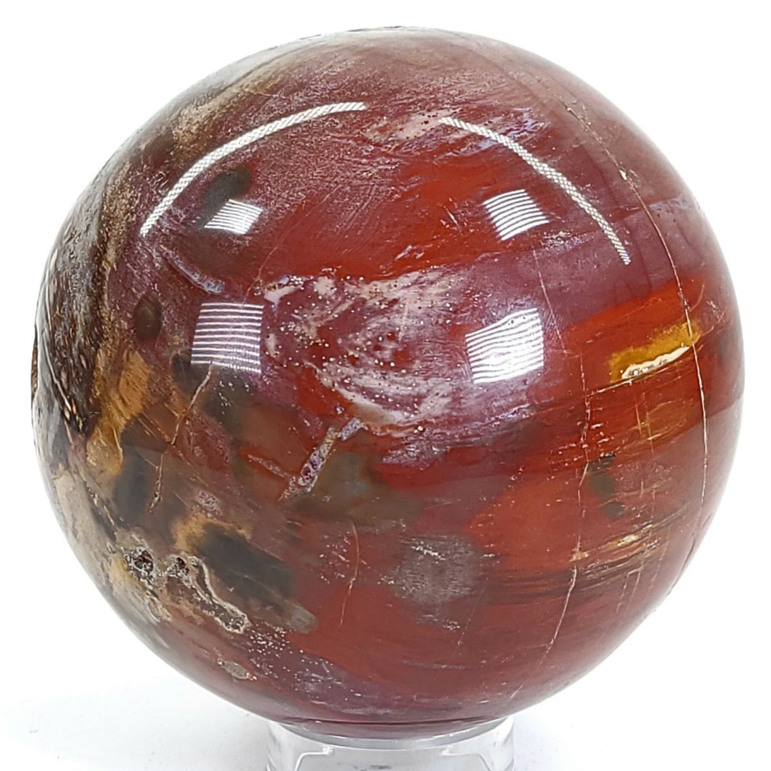 Rainbow Petrified Wood Sphere! Extra Large Fossilized Wood Crystal Ball & Smoky Quartz Geodes! - Earth Perfection