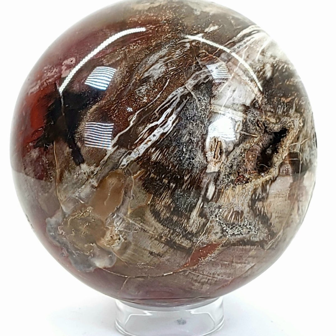 Rainbow Petrified Wood Sphere! Extra Large Fossilized Wood Crystal Ball & Smoky Quartz Geodes! - Earth Perfection