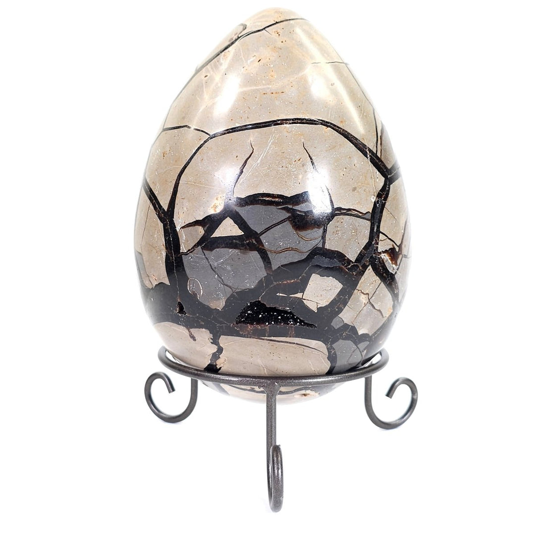 Septarian Egg Large Dragon Stone Crystal! Natural Black Septaria Nodule Mineral! - Earth Perfection