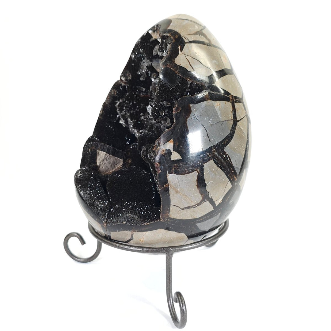 Septarian Egg Large Dragon Stone Crystal! Natural Black Septaria Nodule Mineral! - Earth Perfection