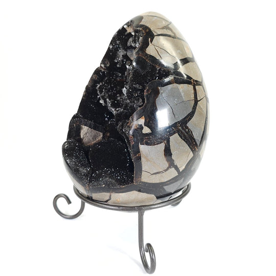 Septarian Egg Large Dragon Stone Crystal! Natural Black Septaria Nodule Mineral! - Earth Perfection