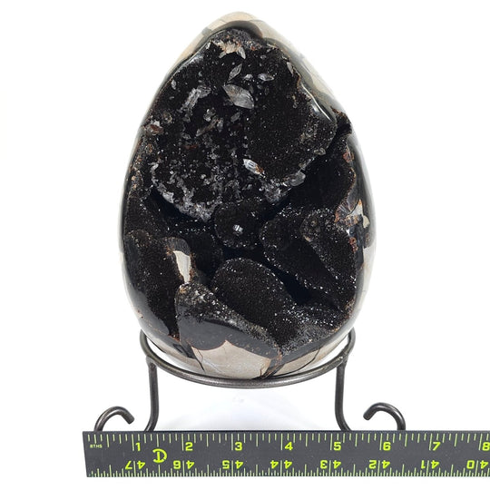 Septarian Egg Large Dragon Stone Crystal! Natural Black Septaria Nodule Mineral! - Earth Perfection