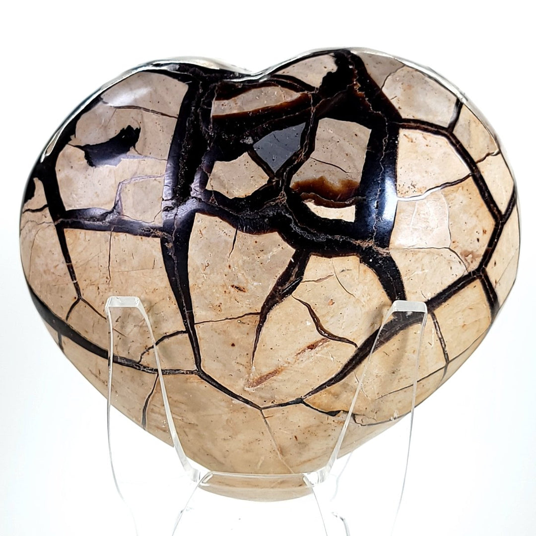Septarian Heart Crystal Large 7" Dragon Stone Geode, Natural Black Septaria Nodule Heart! - Earth Perfection