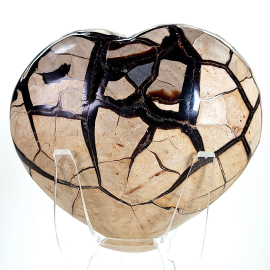 Septarian Heart Crystal Large 7" Dragon Stone Geode, Natural Black Septaria Nodule Heart! - Earth Perfection
