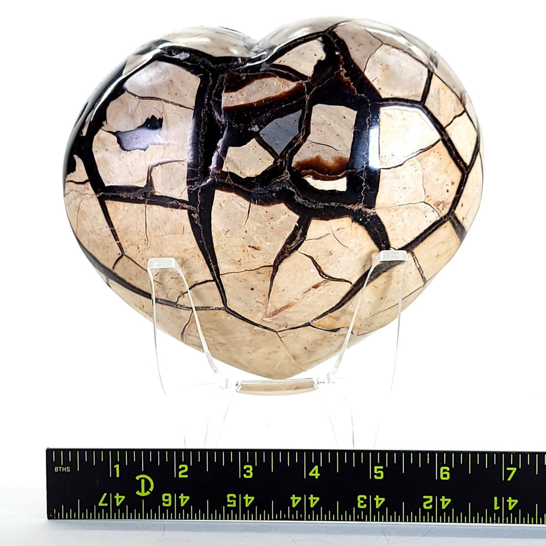 Septarian Heart Crystal Large 7" Dragon Stone Geode, Natural Black Septaria Nodule Heart! - Earth Perfection