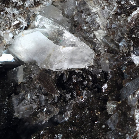 Septarian Heart Crystal Large 7" Dragon Stone Geode, Natural Black Septaria Nodule Heart! - Earth Perfection