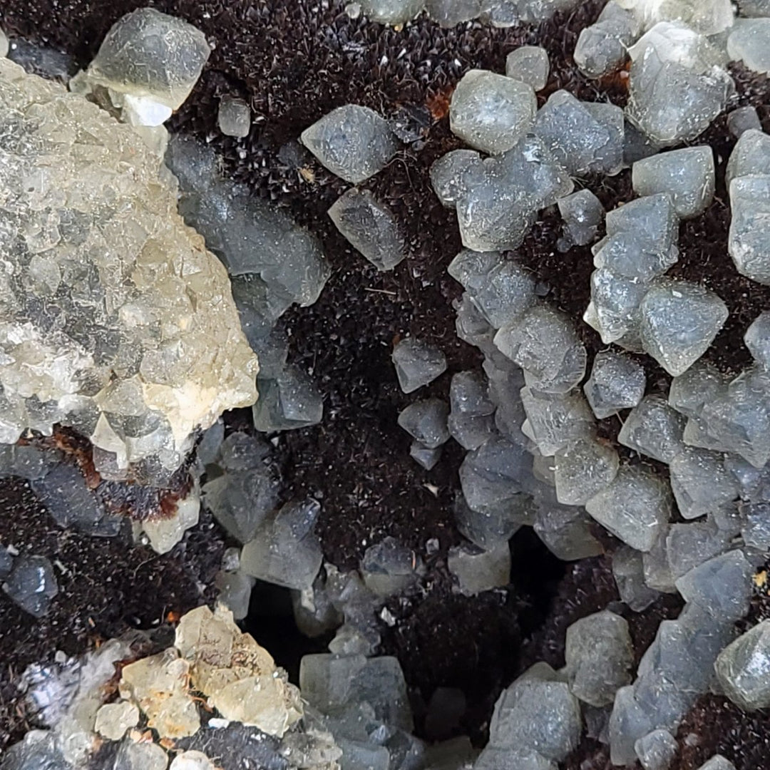 Septarian Heart with Calcite Crystals, 6" Septaria Nodule Dragon Stone - Earth Perfection