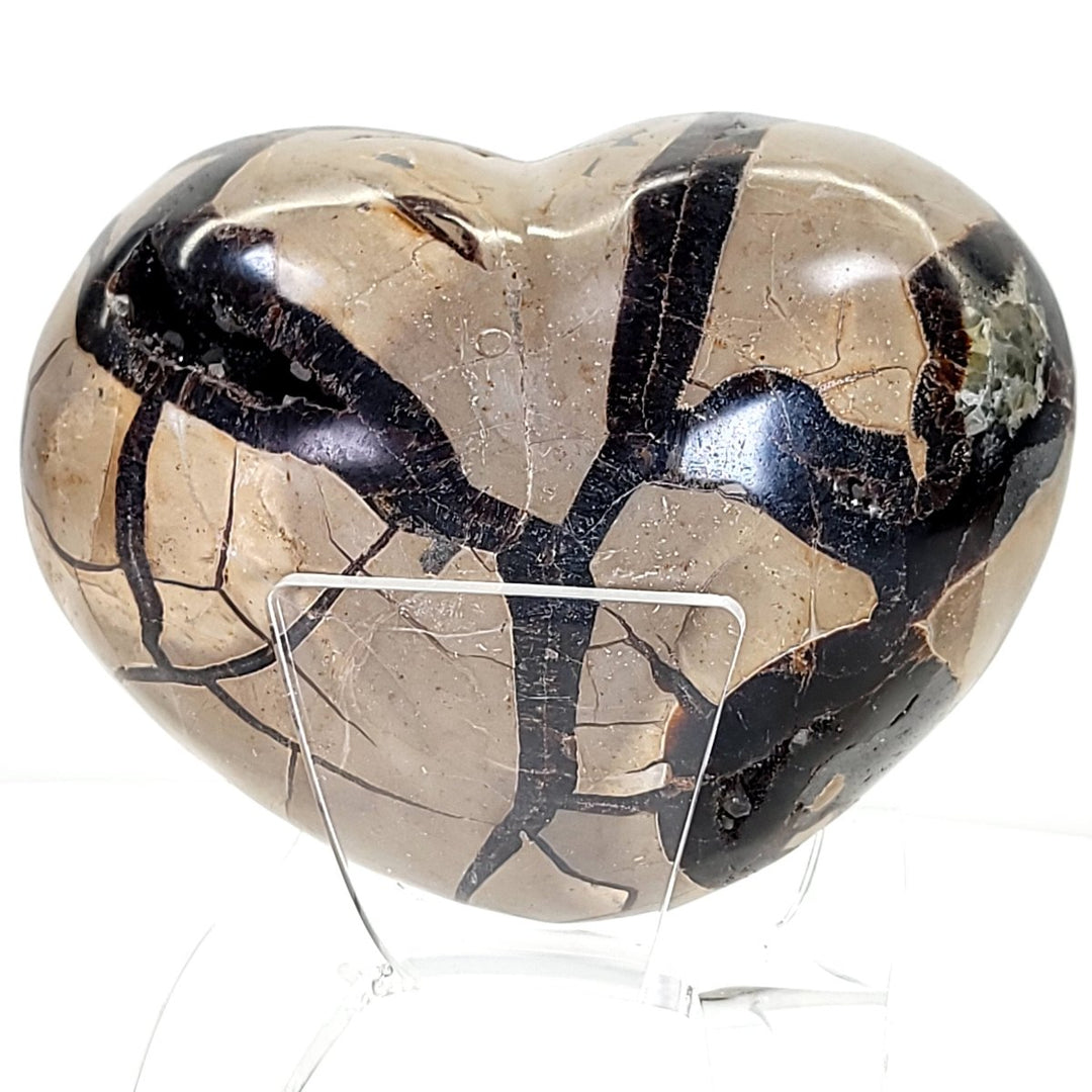 Septarian Heart with Calcite Crystals, 6" Septaria Nodule Dragon Stone - Earth Perfection