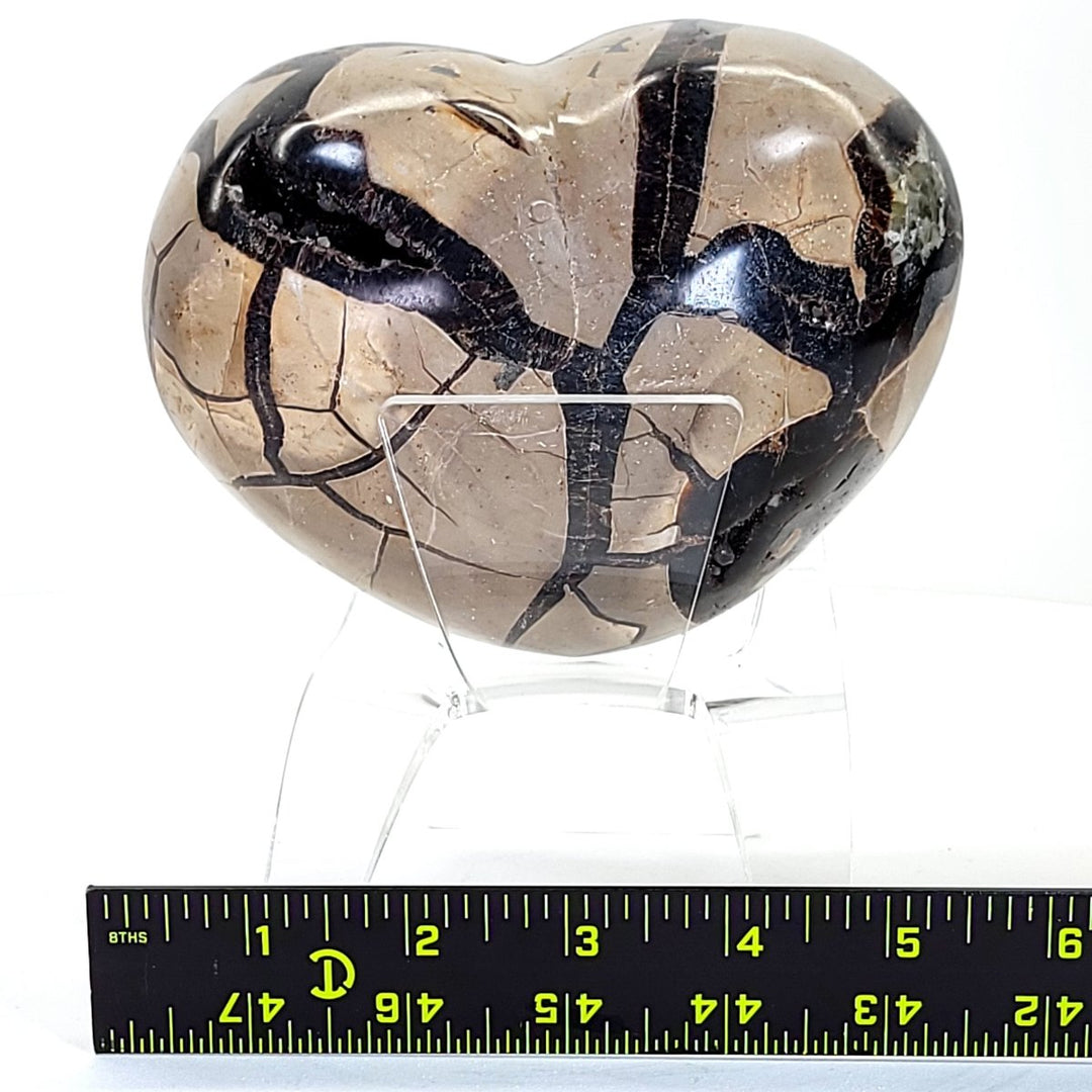 Septarian Heart with Calcite Crystals, 6" Septaria Nodule Dragon Stone - Earth Perfection