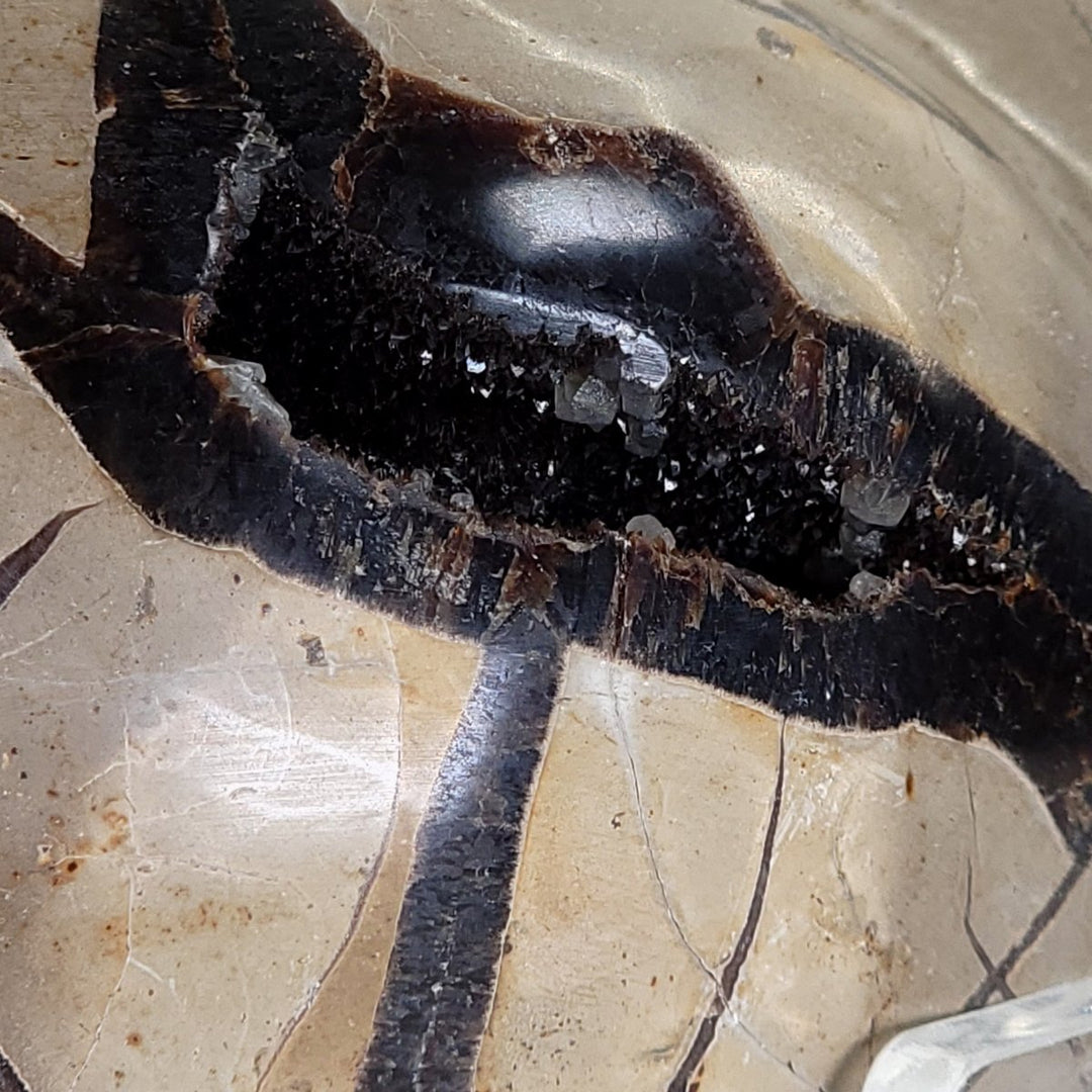 Septarian Heart with Calcite Crystals, 6" Septaria Nodule Dragon Stone - Earth Perfection