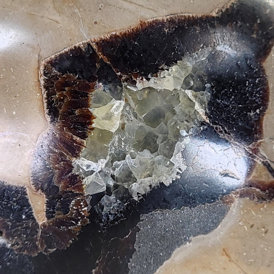Septarian Heart with Calcite Crystals, 6" Septaria Nodule Dragon Stone - Earth Perfection
