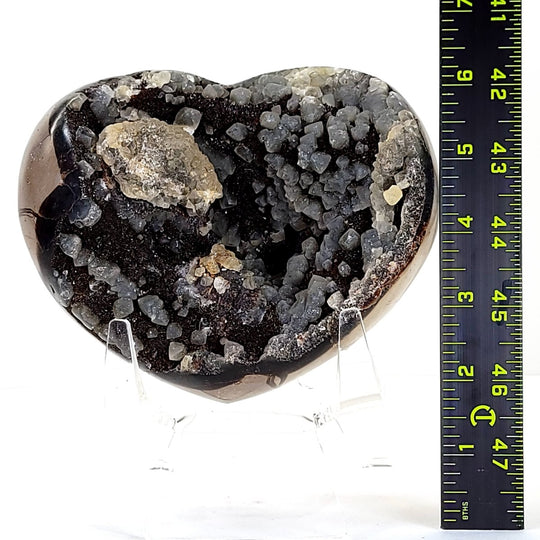 Septarian Heart with Calcite Crystals, 6" Septaria Nodule Dragon Stone - Earth Perfection