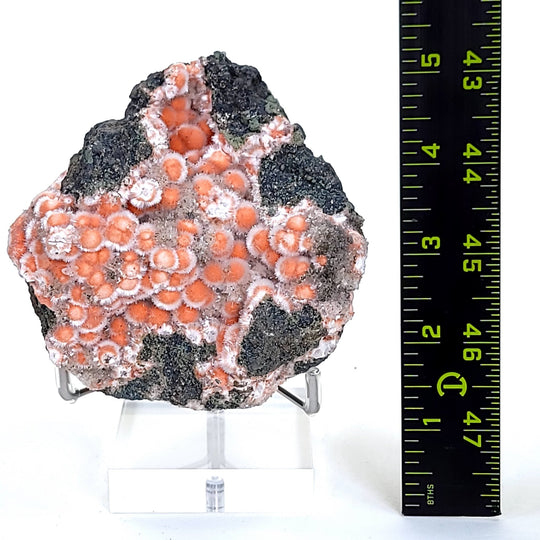 Thomsonite & Mesolite, Large Rare 435 Grams! Crystal Zeolite Mineral Specimen! - Earth Perfection