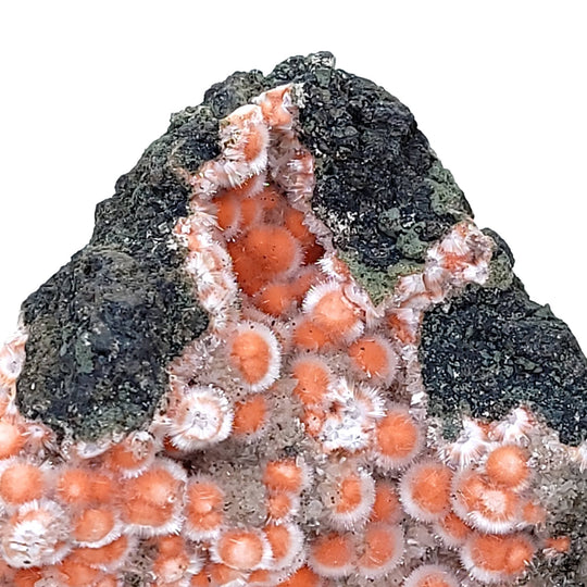 Thomsonite & Mesolite, Large Rare 435 Grams! Crystal Zeolite Mineral Specimen! - Earth Perfection