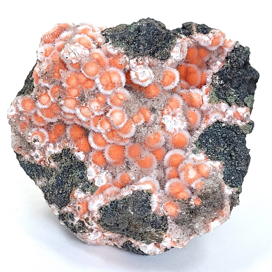 Thomsonite & Mesolite, Large Rare 435 Grams! Crystal Zeolite Mineral Specimen! - Earth Perfection
