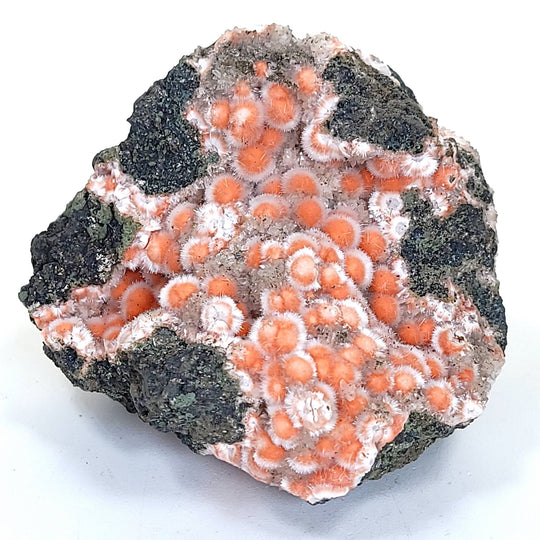 Thomsonite & Mesolite, Large Rare 435 Grams! Crystal Zeolite Mineral Specimen! - Earth Perfection