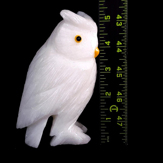 White Calcite Snowy Owl Statue Large 5.5” Crystal Owl Figurine Decor Gift Sculpture - Earth Perfection